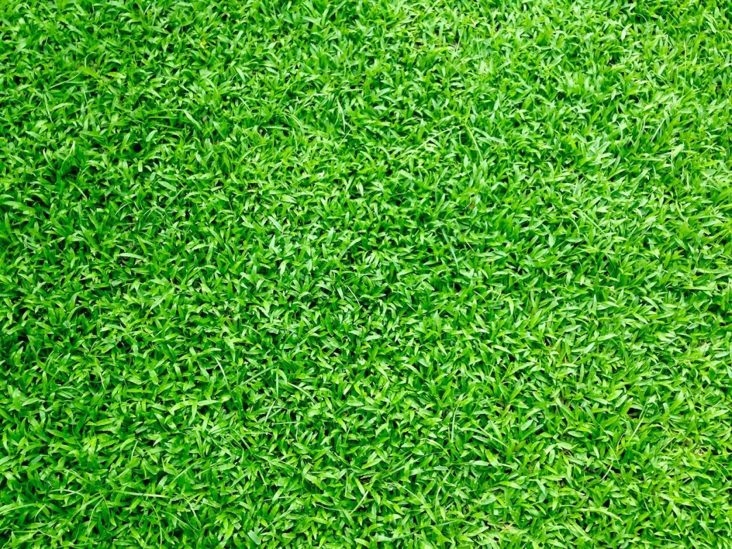 Advantages & Disadvantages Artificial Grass - Disadvantages of artificial turf