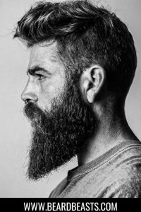 Goatee Viking Beard Styles - Viking goatee beard