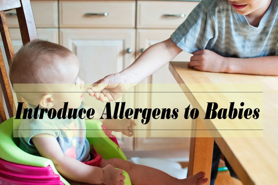 Best Ways to Introduce Allergens to Babies - allergen introduction baby food