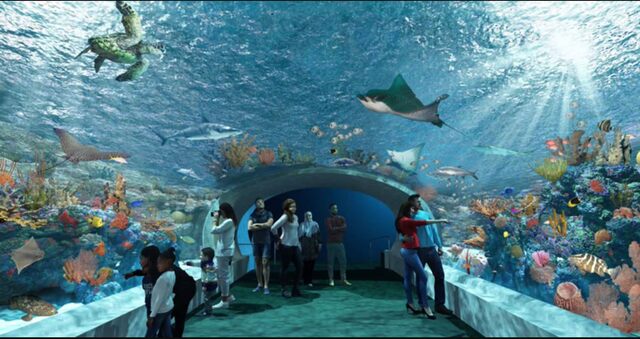 Shedd Aquarium-shedd aquarium parking