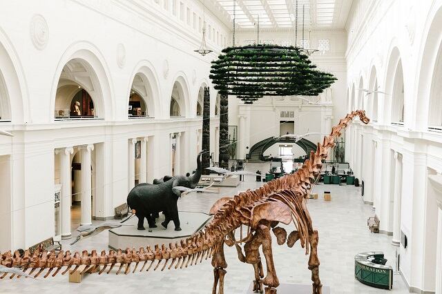 The Field Museum-museum of natural history