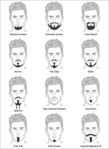Mustache Styles Charts for Grooming - horseshoe mustache