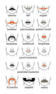 Mustache Styles Charts for Grooming - walrus mustache