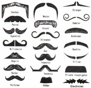Mustache Styles Charts for Grooming - walrus mustache