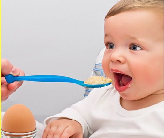 Eggs - Best Healthy Food for Baby