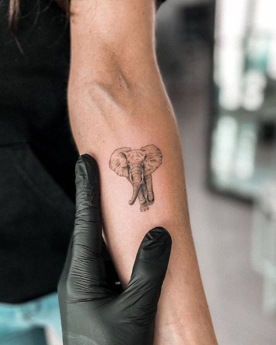 Elephant Tattoo - Stylish Tattoo Designs